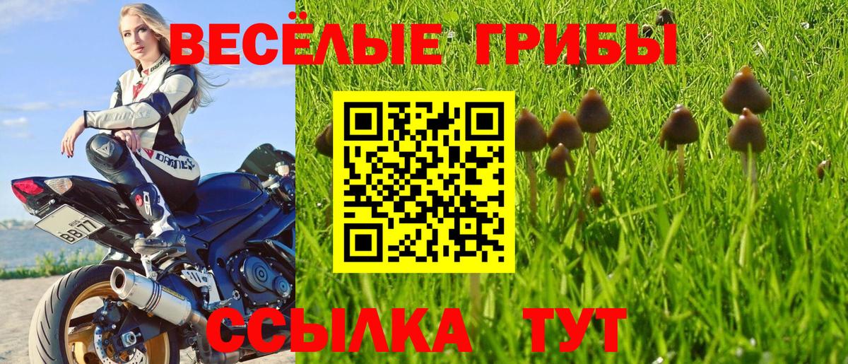 Мурманск  Галлюциногенные грибы мухоморы  Вход с VPN  Галлюциногенные грибы Psilocybine cubensis 